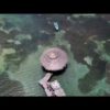 Floyd's Pelican Bar - the best aerial videos