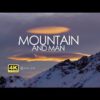 Matterhorn Drone Film Shot Cervinia | the best aerial videos