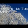 Switzerland Ice Trees | the best aerial videos