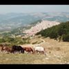 Da Monte Crispiniano alla passeggiata Panni | Travel by Drone