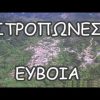 Stropones Euboea 1