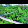 ceiba tops canopy walkway Amazon Rainforest Ceiba - the best aerial videos