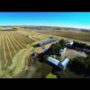 Bruno Saskatchewan Harvest 2013 1