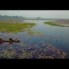 Gulawat Lotus Valley - the best aerial videos