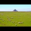 Mont St Michel filmé en drone - plus grand du monde banque vidéo aerienne