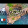 Baie aux Cailles St Martin • Geotagged Drone Videos